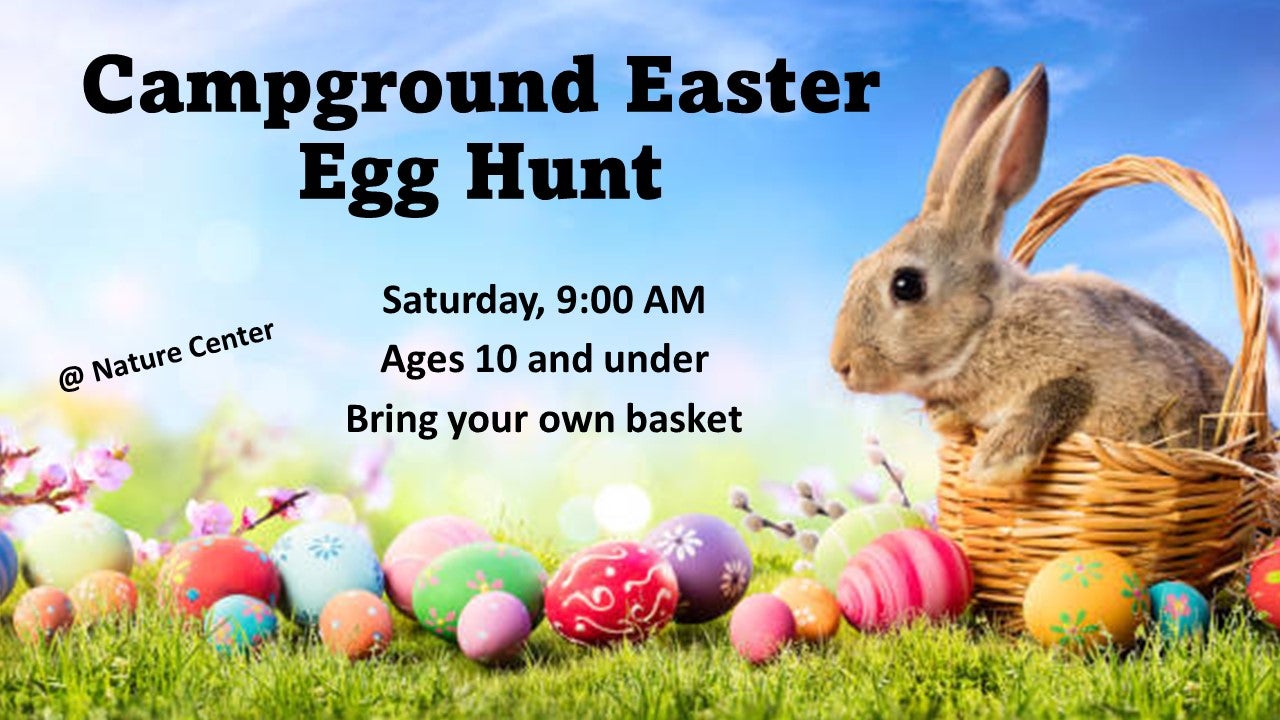 Campground Easter Egg Hunt Alapark